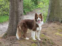 IMG 0152  19