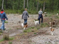 IMG 0157  21