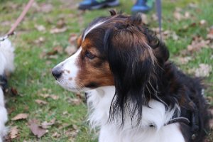 IMG_1533