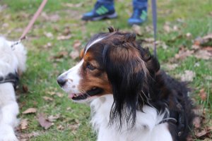 IMG_1534