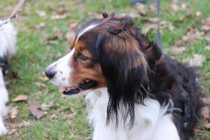 IMG_1535