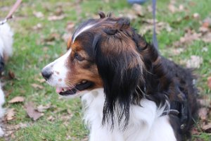 IMG_1536