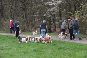 IMG_1546