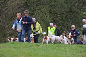 IMG_1555