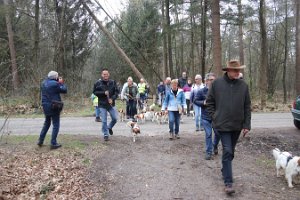 IMG_1561