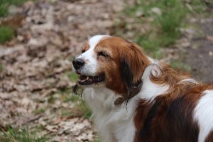 IMG_1565