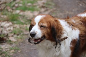IMG_1566