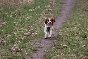IMG_1570