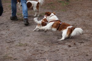 IMG_1572