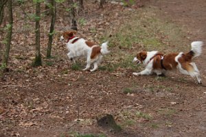 IMG_1573