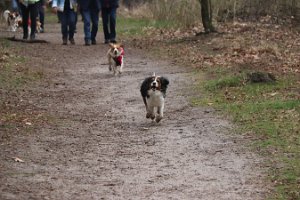 IMG_1574