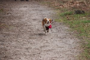 IMG_1575