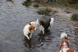 IMG_1578