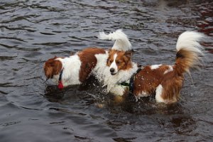 IMG_1586
