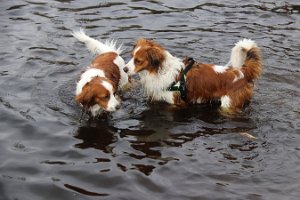 IMG_1587