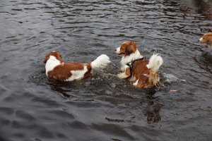 IMG_1589