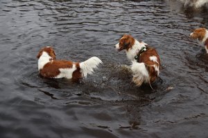 IMG_1590