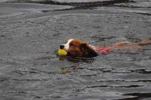 IMG_1596