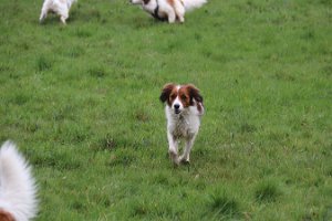IMG_1620