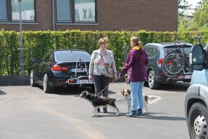 IMG_0234