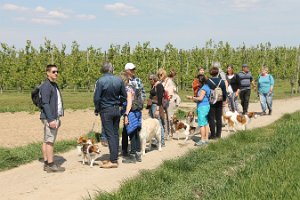 IMG_0246