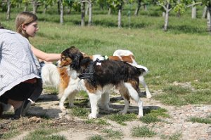 IMG_0256