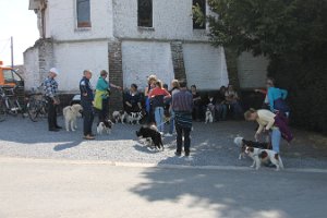 IMG_0264