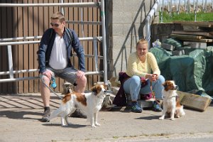 IMG_0268