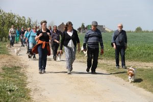 IMG_0270