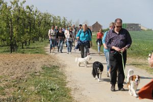 IMG_0271