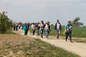 IMG_0272