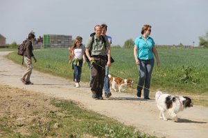 IMG_0273