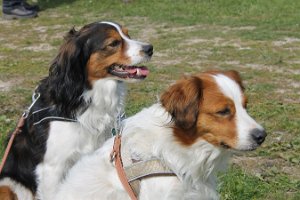 IMG_0274