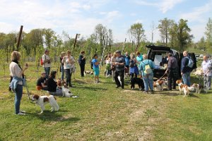 IMG_0275