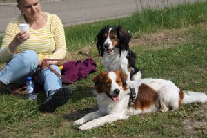 IMG_0278