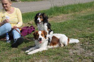 IMG_0279