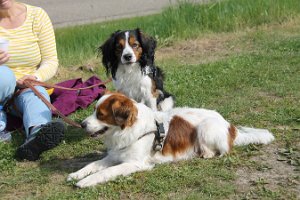 IMG_0280
