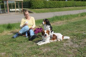 IMG_0281