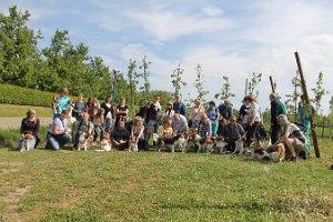 IMG_0295