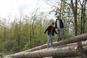 IMG_0311