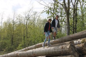 IMG_0312