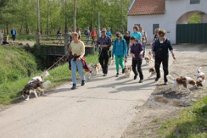 IMG_0315