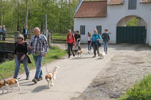 IMG_0317