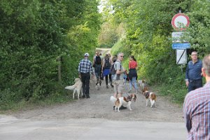 IMG_0322