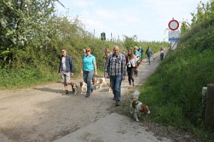 IMG_0323