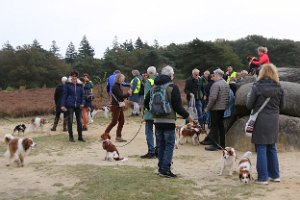 IMG_2302