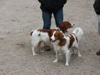 IMG 9237