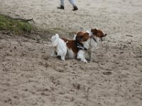 IMG 9245