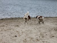IMG 9313