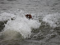 IMG 9354